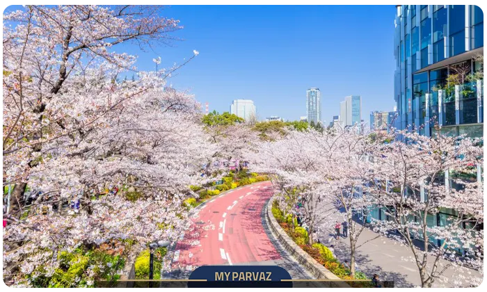 Tokyo in spring